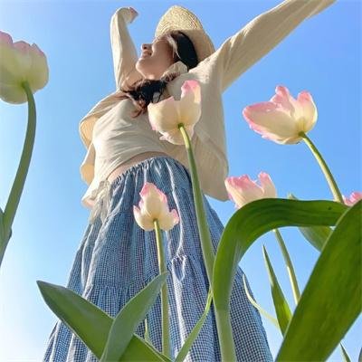 四叠半神话大系